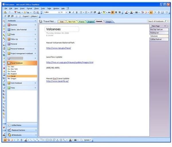 OneNote Interface