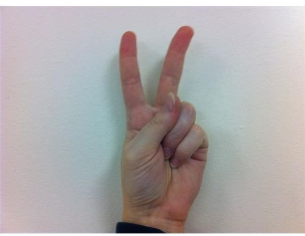 American Sign Language: Fingerspelling V
