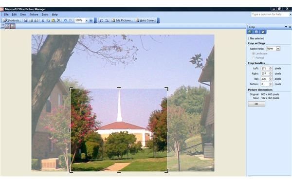 Microsoft Picture Manager - Cropping Tool