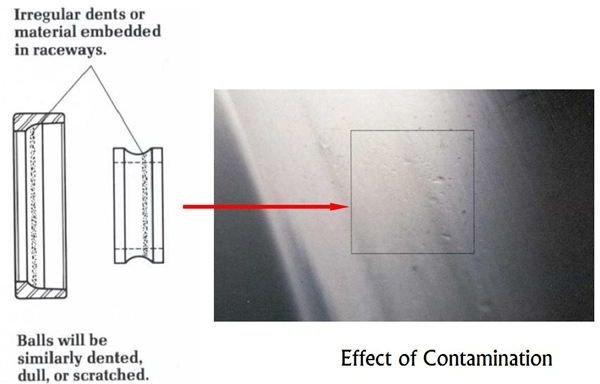 Contamination