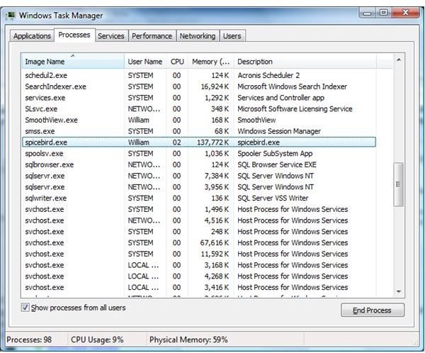 Figure 23 - Spicebird Performance - Task Manager