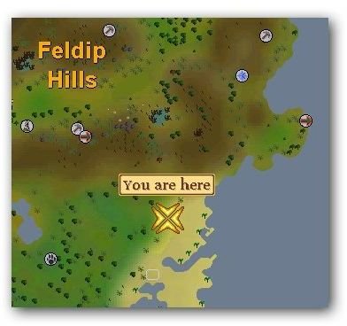 Runescape Bird Snare Guide: Tips for Hunting