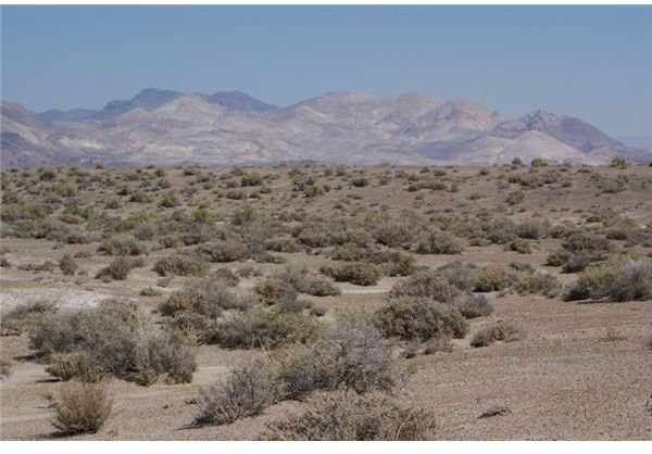 Original Black Rock Desert