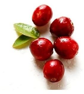 Cranberries: Nutritional Facts & Serving Suggestions for the Cranberry