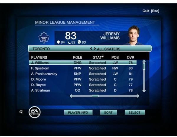 The Secrets of Dynasty Mode in NHL09 - Coach Options - by John Sinitsky