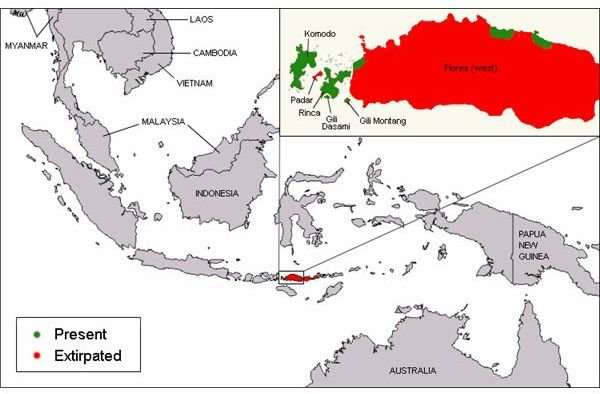 Komodo dragon distribution