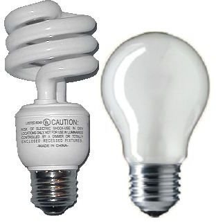 Incandescent and fluorescent light bulbs