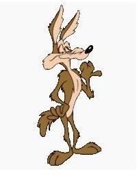 Wile E Coyote was Loyal to Acme