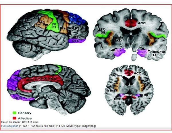 Adult ADD: Fact to Help Understand This Often Misunderstood Diagnosis