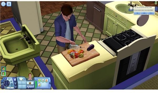 Sims 3 Death and Ghosts Guide Starvation