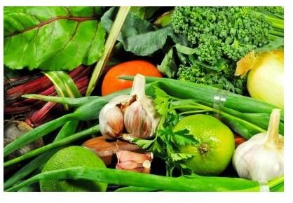 What is Biodynamic Farming? Eating Biodynamic Foods