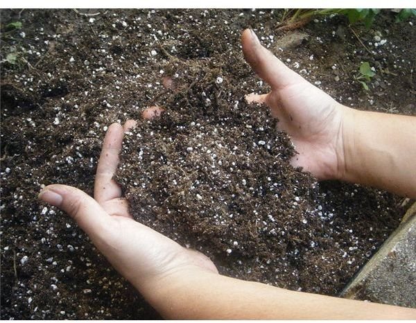 Healthy Soil Fertility: Tips to Improve Soil Health in Your Organic Garden in an Environmentally Friendly Manner