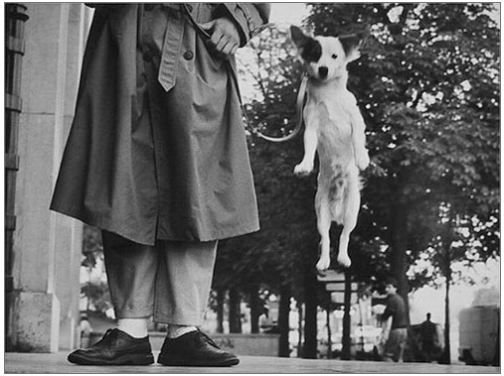 by Elliot Erwitt