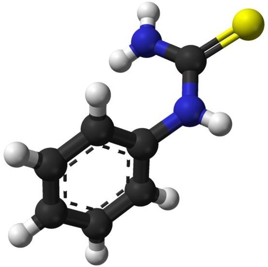 Phenylthiourea