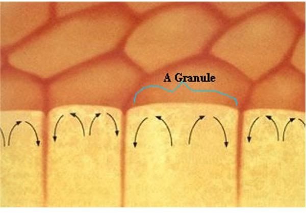 Granule formation