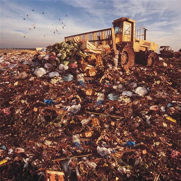 Facts about Landfills and The Truth about Toxicity
