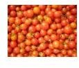 Canning Cherry Tomatoes: Enjoy Cherry Tomatoes All Year