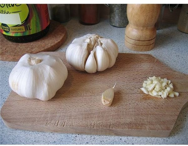 Garlic