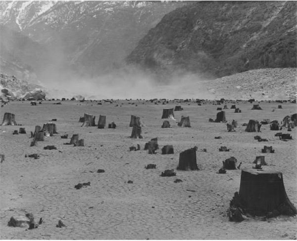 Black and White Photographers: Field of Stumps from the Hetch Hetchy Reservoir