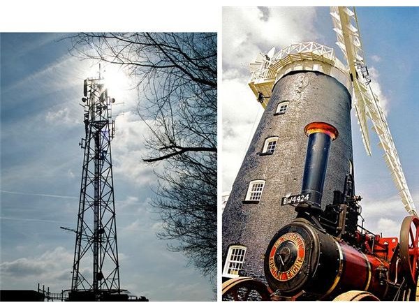 Do Windmills and Cell Towers Kill Millions of Birds Every Year?