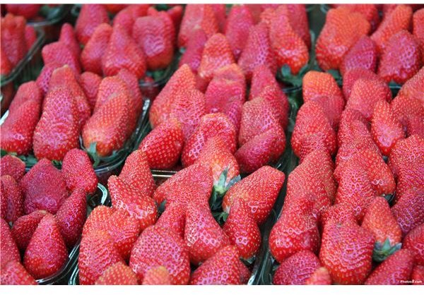 Fresh Fruit Like Strawberries Saves Money 
