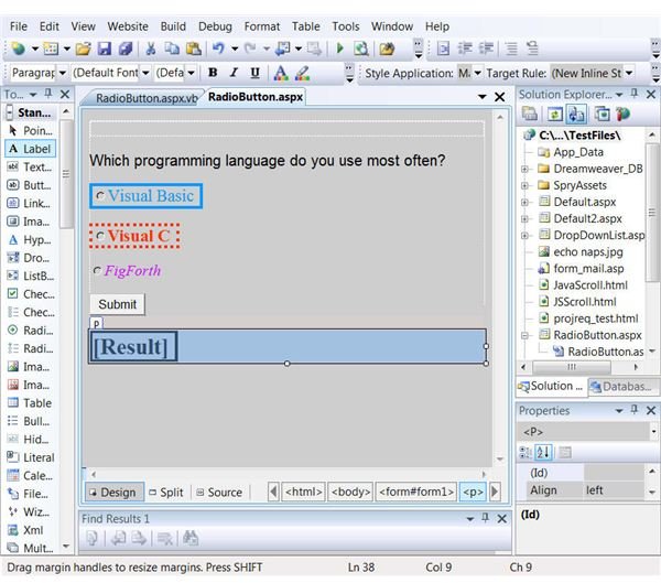 Final RadioButton Appearance, screenshot by C.R. Anderson
