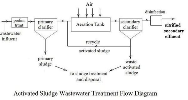 Anammox Wastwater Treatment instead of Nitrification and Denitrification