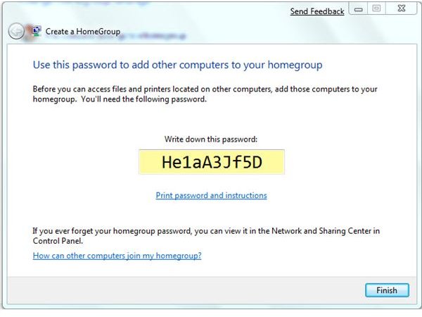 Sample Password for HomeGroup