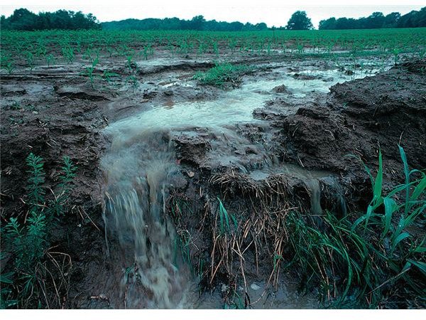 800px-Runoff of soil & fertilizer