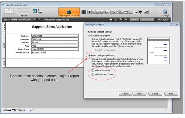 Step 2 - Layout Report with Grouped Data