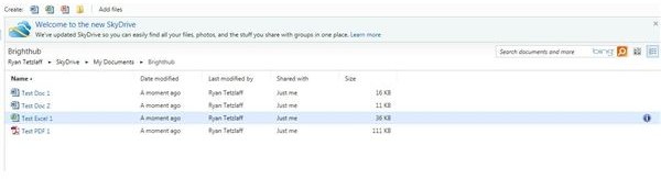 Figure 2 - SkyDrive - Web Documents Uploaded