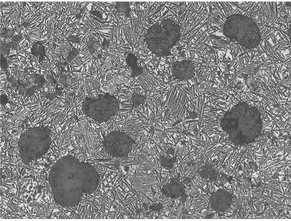 Austenite and Ferrite