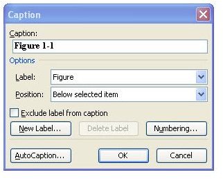 Add Captions in Microsoft Word 2003