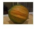 Learn More about the Types of Winter Squash