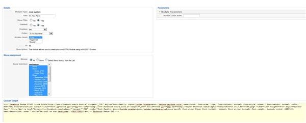 Pasting the code into Joomla&rsquo;s module feature.