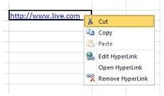 Excel right clicking