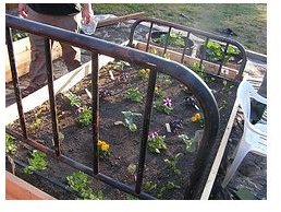 Literal Take on Raised Beds