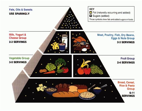 What are the Recent Changes in the Food Pyramid? Learn the Differences and Create Your Own Customizable Plan