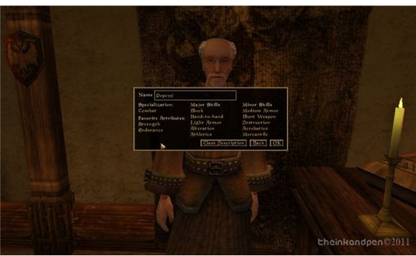 The Elder Scrolls 3: Character Customization