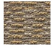 Multi-Texture Carpet