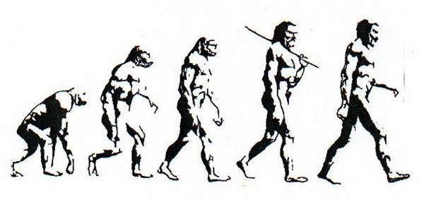 Human Evolution Time Line: The Study of Man