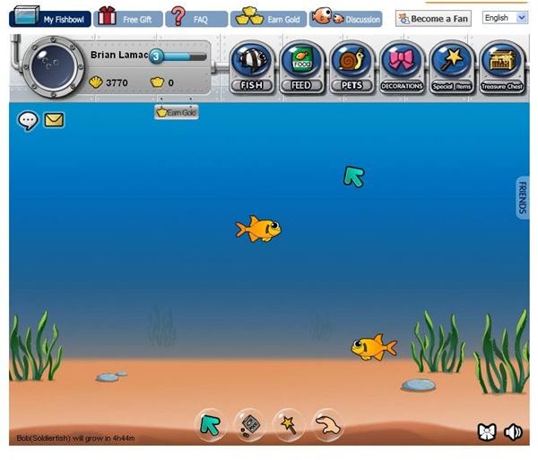 My Fishbowl Fish