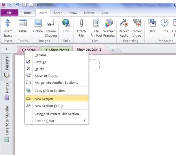 OneNote 2010 Section
