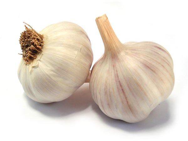 Natural Antibiotics: Find Out Which Herbal Remedies are the Most Effective Against Harmful Bacterial Infections