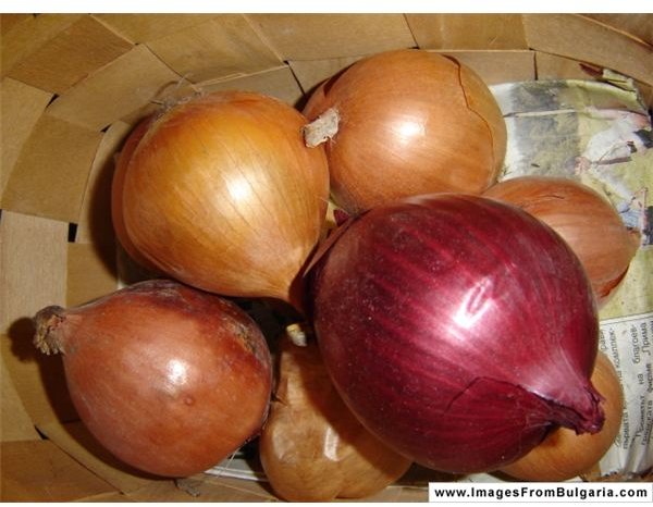 Onions