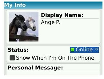 Windows Live Messenger Mobile App