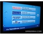 mod wii homebrew channels sd card