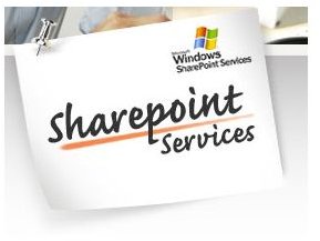 What is Windows Sharepoint Services, Microsoft Search Server and Microsoft SharePoint Designer?