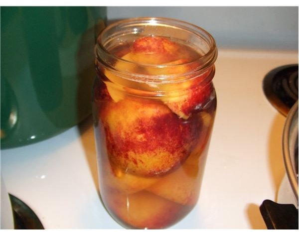 three-methods-of-preserving-food-at-home-canning-freezing-and-drying