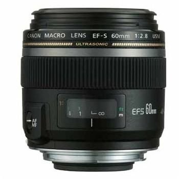 best canon macro lens for 60d